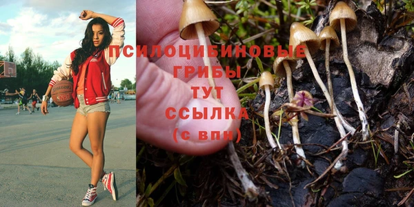 марки lsd Горнозаводск