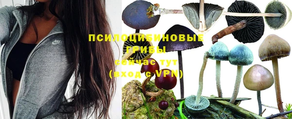 марки lsd Горнозаводск