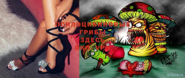 тгк Горняк