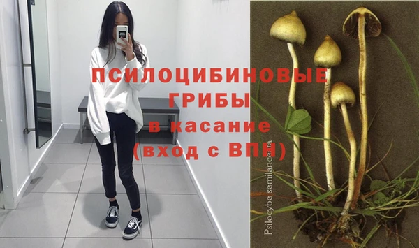 тгк Горняк
