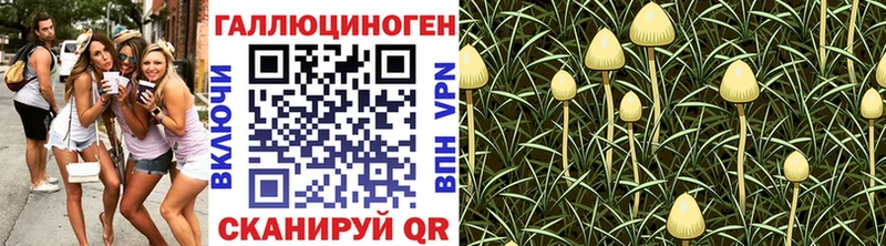 Псилоцибиновые грибы GOLDEN TEACHER  Купить где  Коммунар 